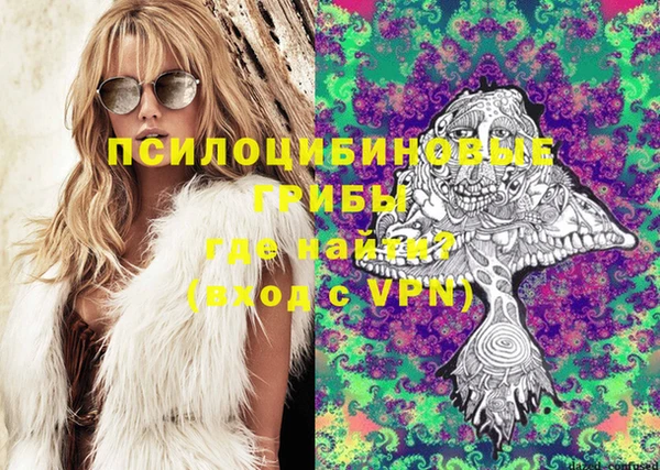 винт Осташков