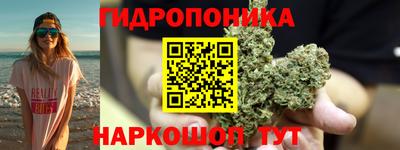 гашик Заволжье