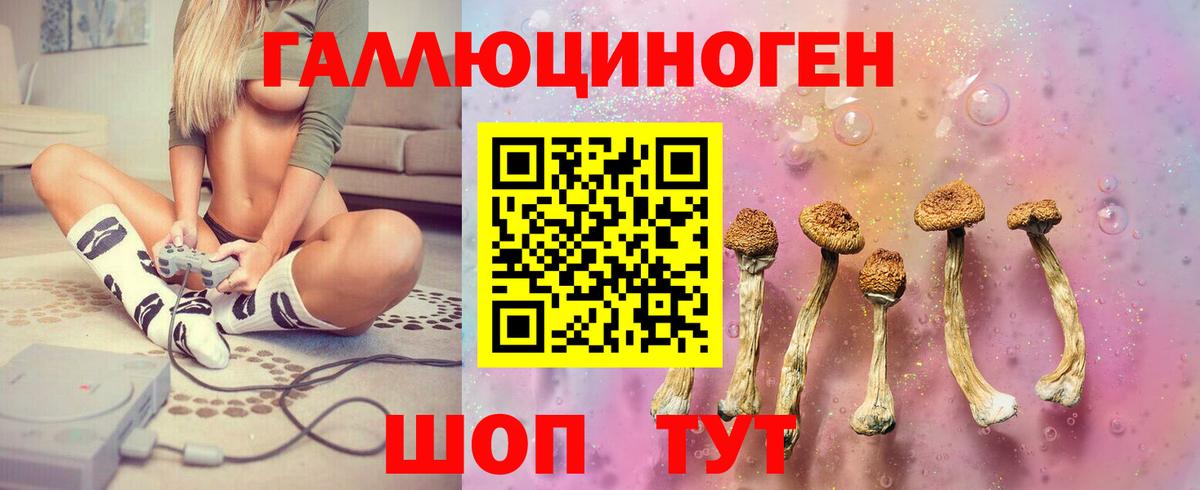 продажа наркотиков  Подольск  Галлюциногенные грибы Psilocybe 