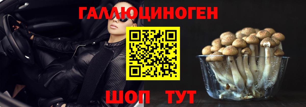 Галлюциногенные грибы мицелий Подольск