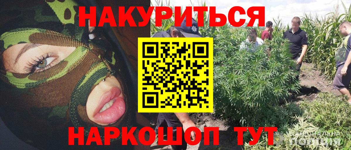 Бошки марихуана конопля Подольск